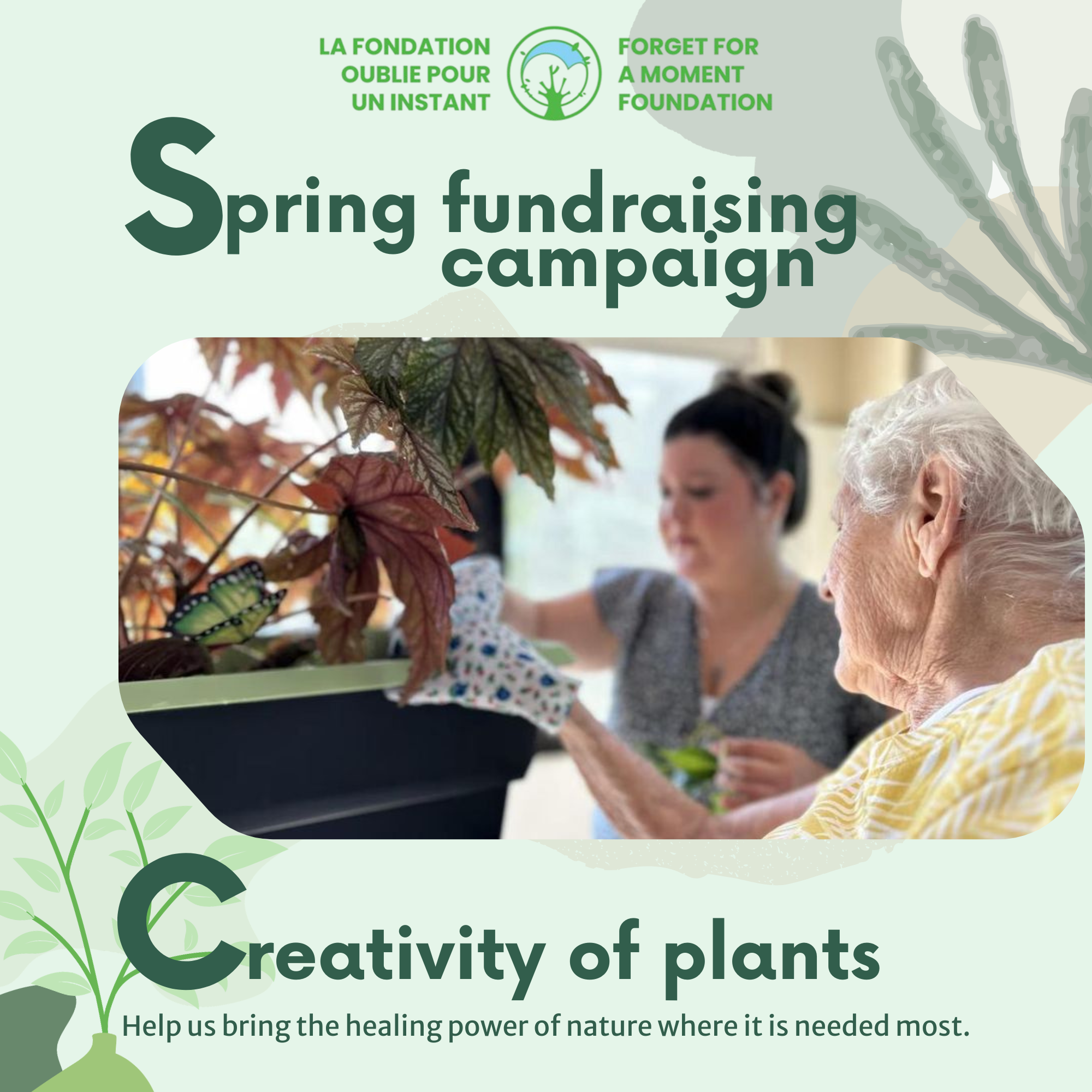 EN Creativity of Plants