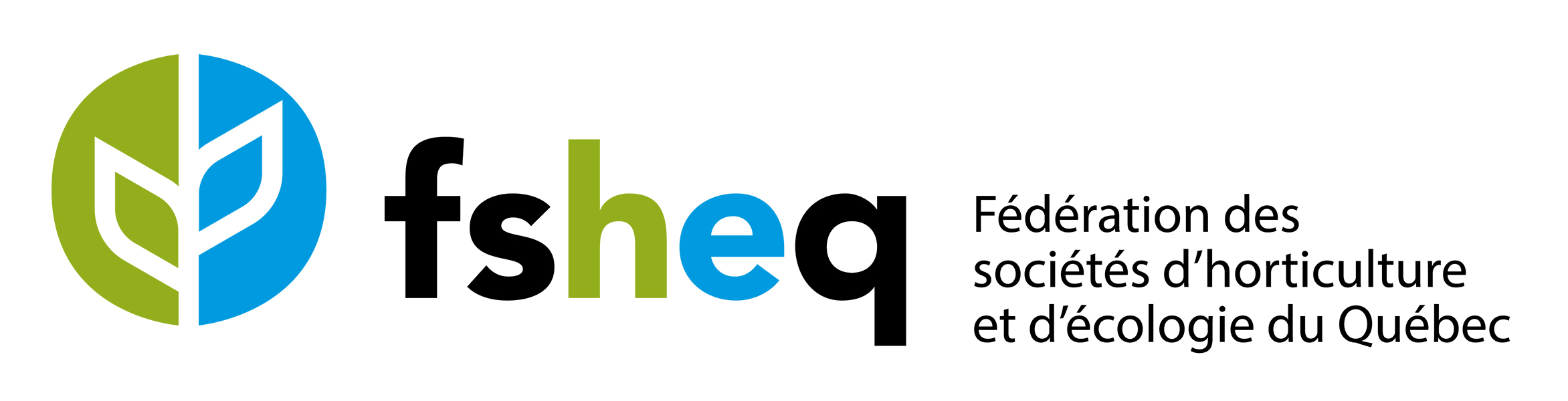 FSHEQ LOGO COUL