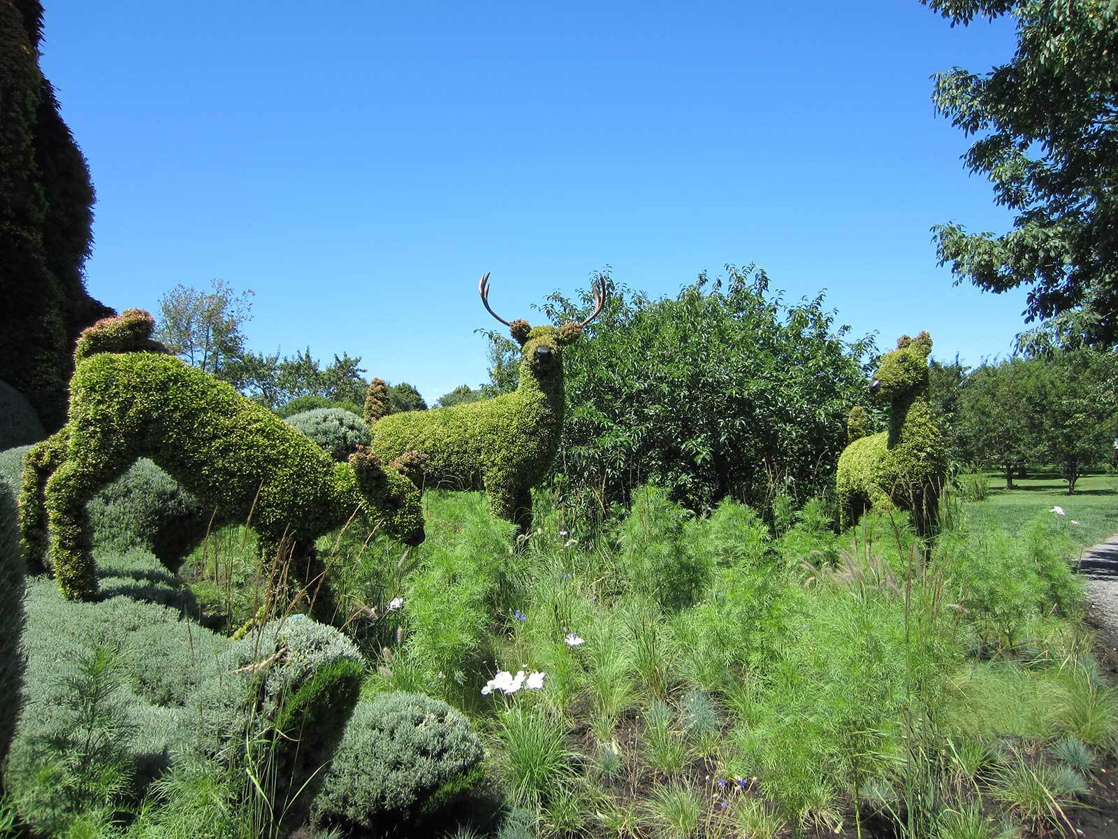 Deer mosaicultures internationales montreal botaical gardens 2013