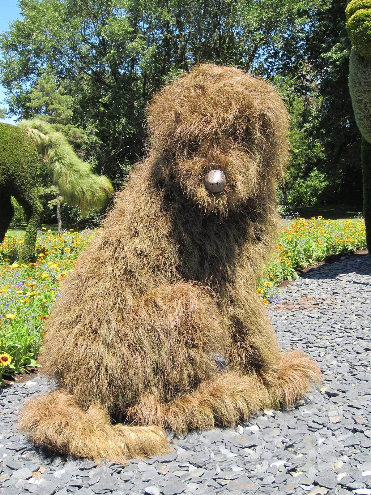 Dog mosaicultures internationales montreal botaical gardens 2013