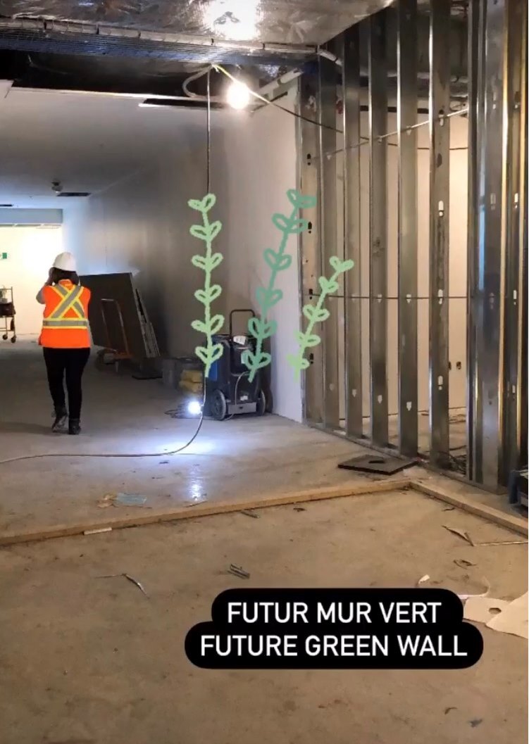 Futurmurvert