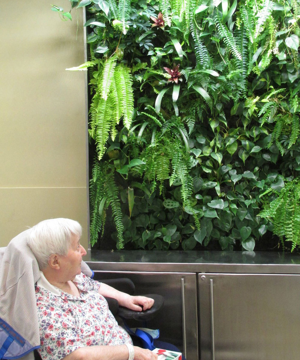 Senior admiring living wall